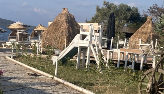 Ortak Alanlar